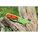 ESEE Izula Venom Green Fixed Blade Knife w/Orange G10 Handles and Molded Polymer Sheath