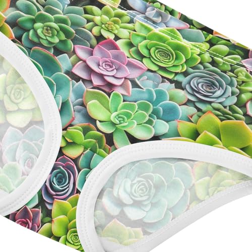 Animal Toddler Girls Underwear 2t Cotton Panties Little Girl Succulent Plants Colorful Green Briefs Underpants4