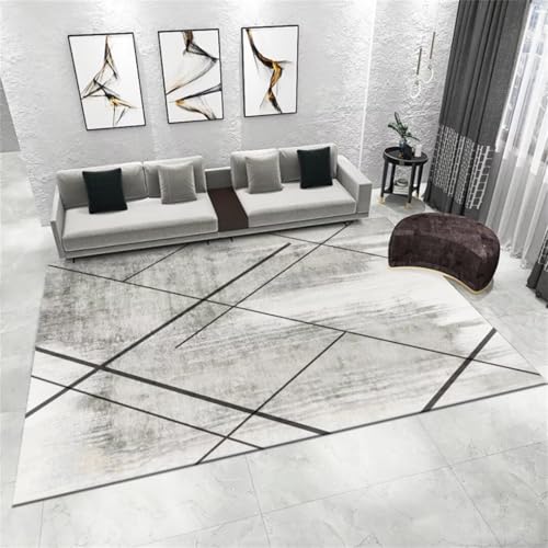 Tapis de salon moderne 200x300cm gris antidérapant pour grande chambre - 2