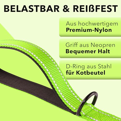 AVANA Hundeleine mit integriertem Kurzführer reflektierende Leine | 2 handschonende gepolsterte Handschlaufen | 1,5 Meter Führleine für große und mittelgroße Hunde - Neongrün