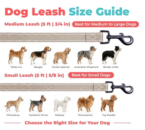 Image of Best Pet Supplies Voyager Reflective Dog Leash or Collar with Neoprene Handle, for Small, Medium, and Large Breed Puppies, Cute and Heavy Duty for Walking, Running and Training - Khaki (Leash), S