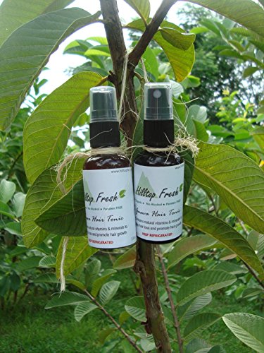 Hair loss treatment - 2 oz - ORGANIC - extracts of guava - No Side Effects - Natural vitamins and minerals stop hair loss & re-grows hair!