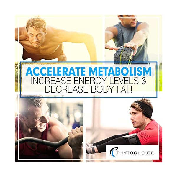 PHYTOCHOICE Thermogenic Weight Loss Diet Pills That Work Fast for Men and Women-Natural Appetite Suppressant-Belly Fat Burner-Carb Blocker-Enhance Exercise Energy to Lose Weight Fast