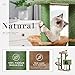 PAWZ Road 41 Inches Cactus Cat Tower with Sisal Covered Scratching Post and Cozy Condo for Indoor Cats, Cat Climbing Stand with Plush Perch &Soft Hammock for Multi-Level Cat Play House