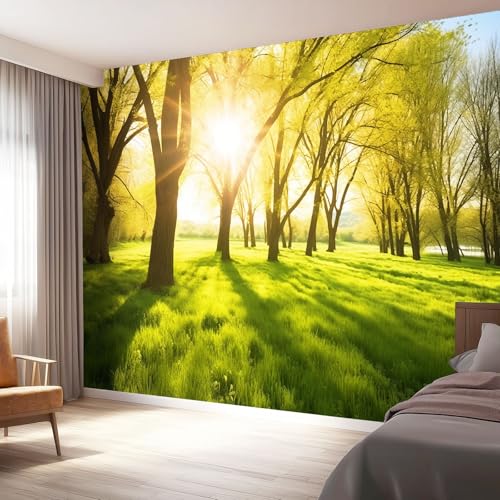 Papel Pintado Pared Bosque Sol Pradera, Verde Mural Autoadhesivo 400 x 280 cm（WxH Adhesivo Muebles Autoadhesivo Papeles Pintados Dormitorio Baño para Dormitorio Salón Pasillo