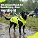 Wasserdichter Hunderegenmantel, reflektierenden Sicherheitsstreifen & Leinenöffnung – Leichte, Jacke für mittelgroße Hunde von Lautus Pets - XL, Gelb