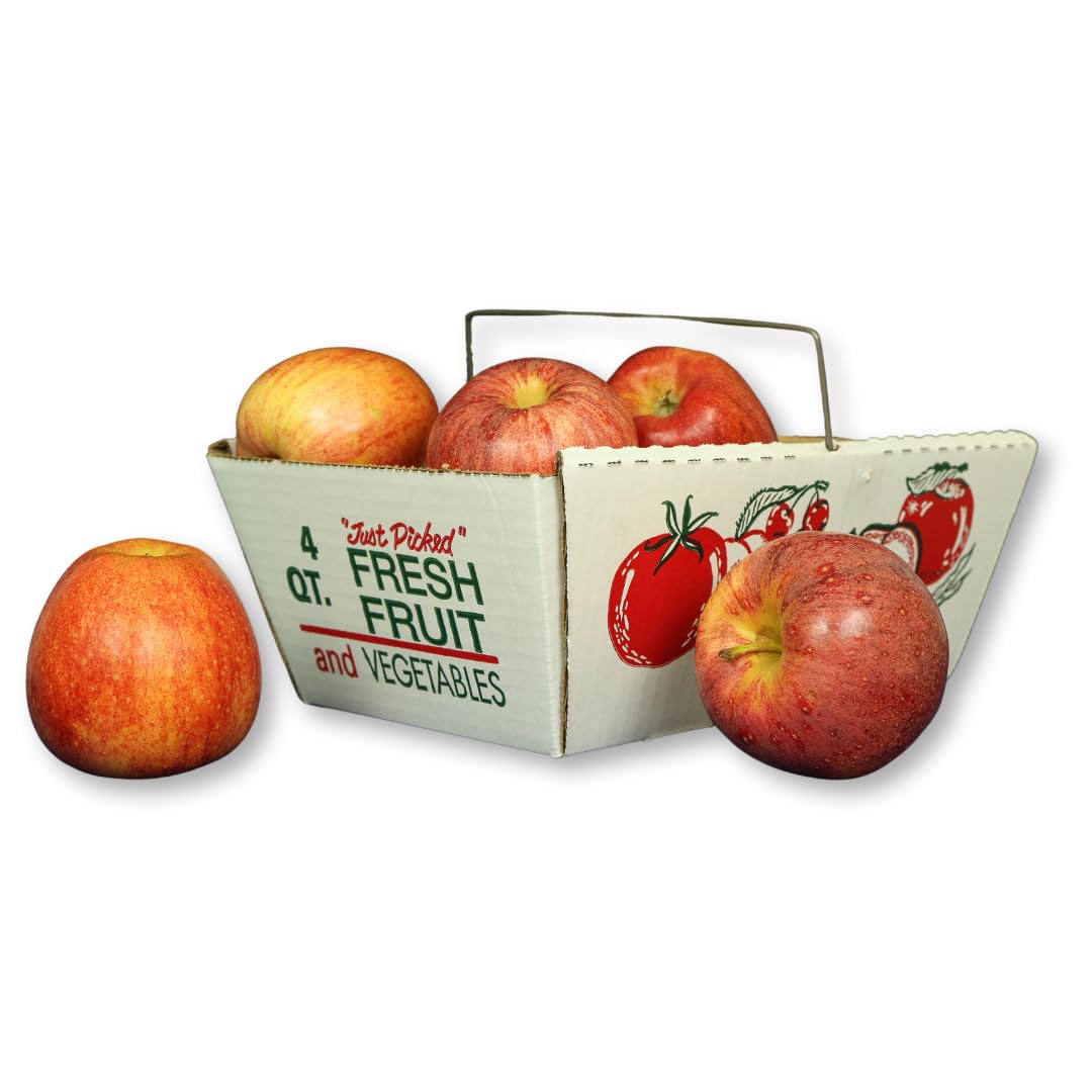 12 Stück – Wellpappe 4 Quart Obst- und Gemüsepflücktablett mit Metallgriff – starker Beeren-Erntekorb aus Karton