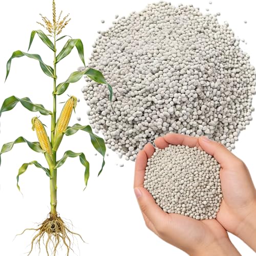 20-20-20 All Purpose Fertilizer Indoor Plant Fertilizer Plant Food for Houseplants Boost Stem & Leaf Growth Improves Root Health Promote Large Flower Blooming & Fruit Growth1LB