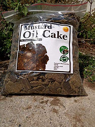 Bum Bum Bhole Organic Mustard Cake Fertilizer Manure for Plants - 5 KG (B08LQS292G) Amazon Price History, Amazon Price Tracker