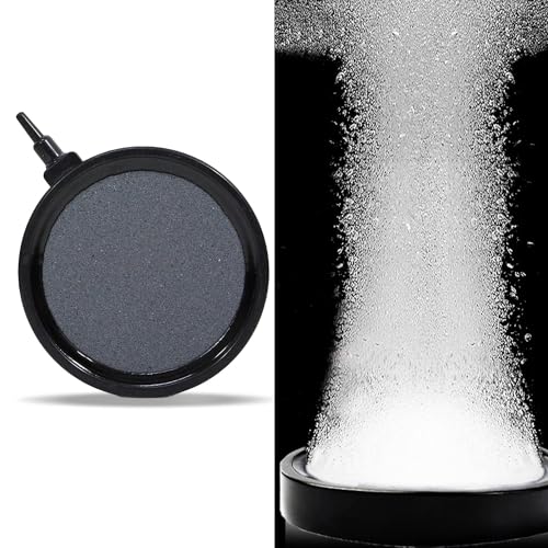 Sprudelsteine für Teich Die 15 besten Produkte im Vergleich Aquaristik