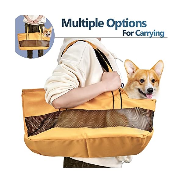 Portable Pet Carrier for Subway Buy Online