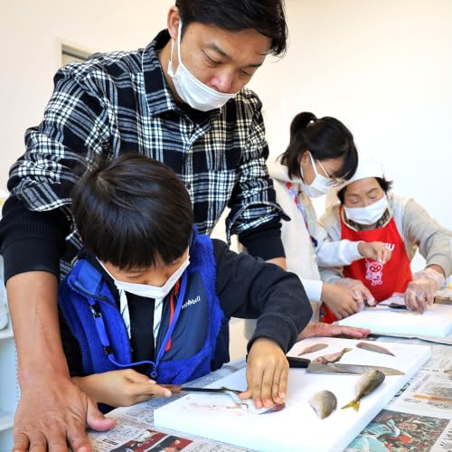 地元漁師の奥様直伝!「魚さばき体験」[No.171]/笠戸ひらめ さかな 捌き方 山口県 下松市