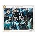 Harry Potter 1000 Piece Jigsaw Puzzle - 30in x 24in - Officially Licensed Merchandise