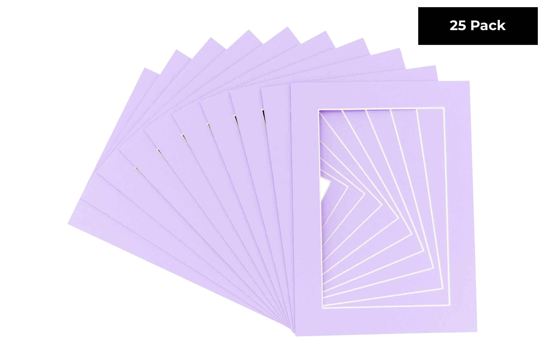 Pack of 25 Acid Free 20x28 Mats Bevel Cut for 16x24 Photos - Light Purple Precut Matboards With Backing Boards and Clear Photo Mat Bags For Pictures, Photos, Framing - 4-ply Thickness