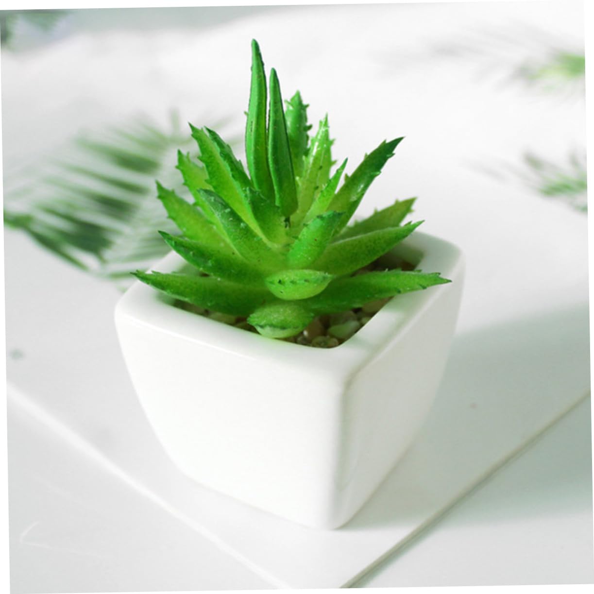 SOLUSTRE Kleiner Keramik Sukkulenten Bonsai 6 Stück, Weiß, Künstlich