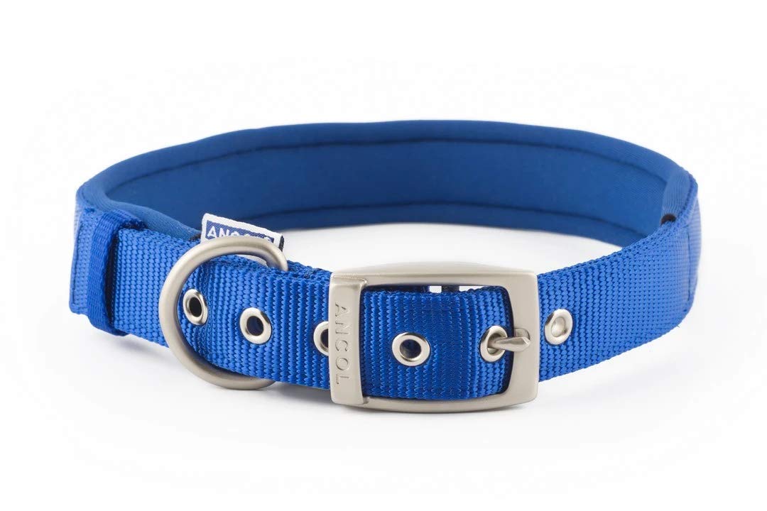 AncolHeritage Nylon Padded Dog Collar, Large, Blue