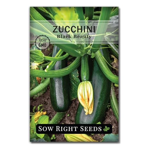 Sow Right Seeds - Black Beauty Zucchini Seeds for Planting - Non-GMO Heirloom Packet with Instructions to Plant a Home Vegetable Garden - Summer Squash - Classic Zucchini Good for Large Containers (1)