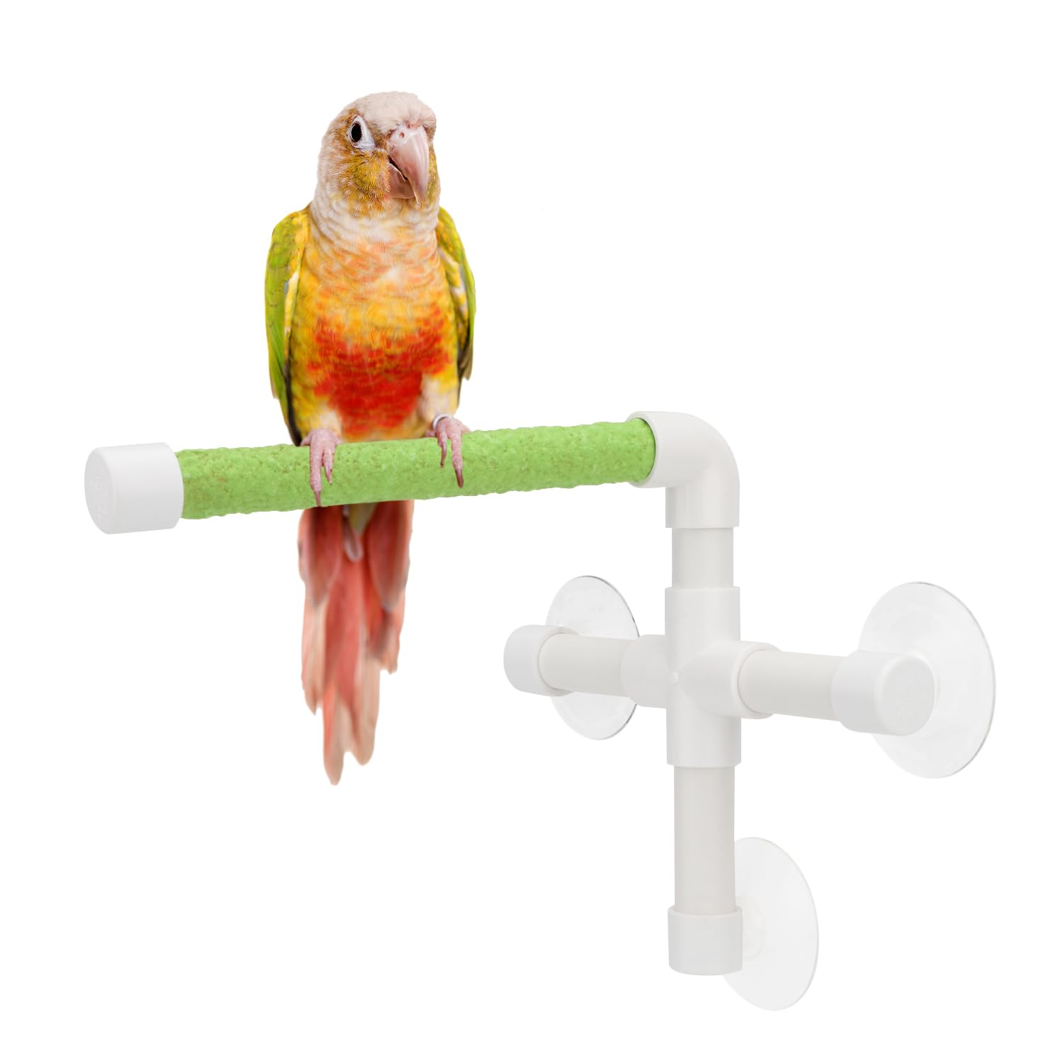 Hypeety Portable Suction Cup Bird Window and Shower Perch Toy for Bird Parrot Macaw Cockatoo African Greys Budgies Parakeet Bath Perch Toy