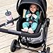 Pivot Xpand Modular Travel System with LiteMax Infant Car Seat with Anti-Rebound Bar (Ayrshire Black)