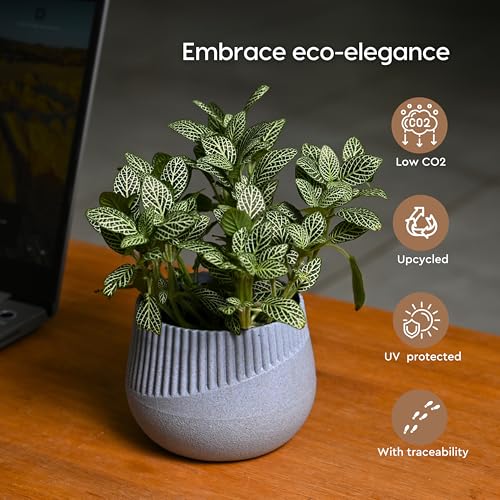 Image of Eha Earth Friendly Oreo 4 inch Small pots for Indoor Plants | Set of 3 | Plant Pot Made with Bamboo Fibers | Table Top Planters for Home Decor and Office, Flower Pot for Living Room | Azure