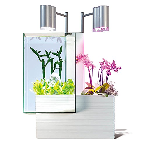 brio(ブリオ) 水槽 35 60Hz仕様 白