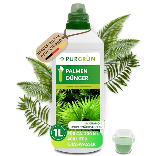 buy aloe plant Buy Aloe Vera Plant Online |Succulents for Sale |Buy Succulents Online