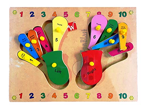 Image of FunBlast Colourful Wooden Jigsaw Puzzle Board for Kids Foot and Toes Shaped Puzzle Toy for Kids-Learning & Educational Toys for Children|Boys|Girls