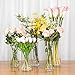 WGVI Quality Thick Weighted Tall Clear Cylinder Glass Vases, 4