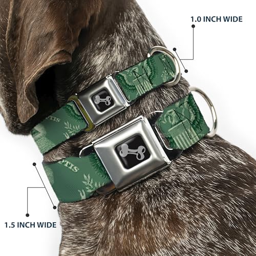 Collier chien motif dollar pyramide avec boucle os Buckle Down - 3