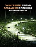 GOLUMUP Solarne lampy ogrodowe, 36 diod LED, reflektor solarny, IP67, 2 poziomy jasności, lampa solarna do użytku na zewnątrz, na podwórko, do garażu itd. 6 sztuk – zimna biel