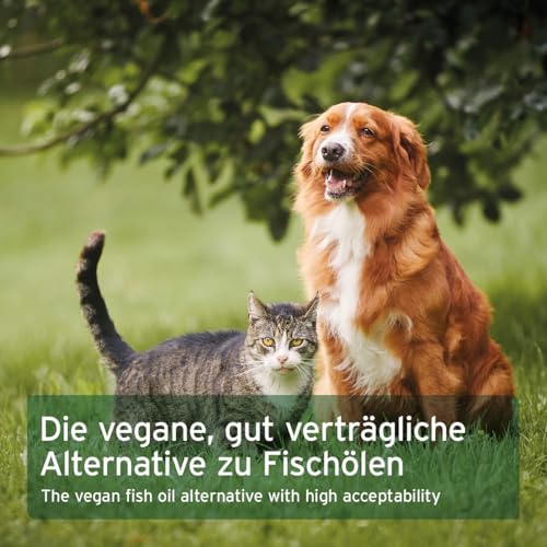 AniForte Algenöl für Pferde, Hunde & Katzen 50 ml – Hochkonzentriertes, veganes Omega-3 Öl aus Algen unterstützt Gelenke, Stoffwechsel, Fell & Haut