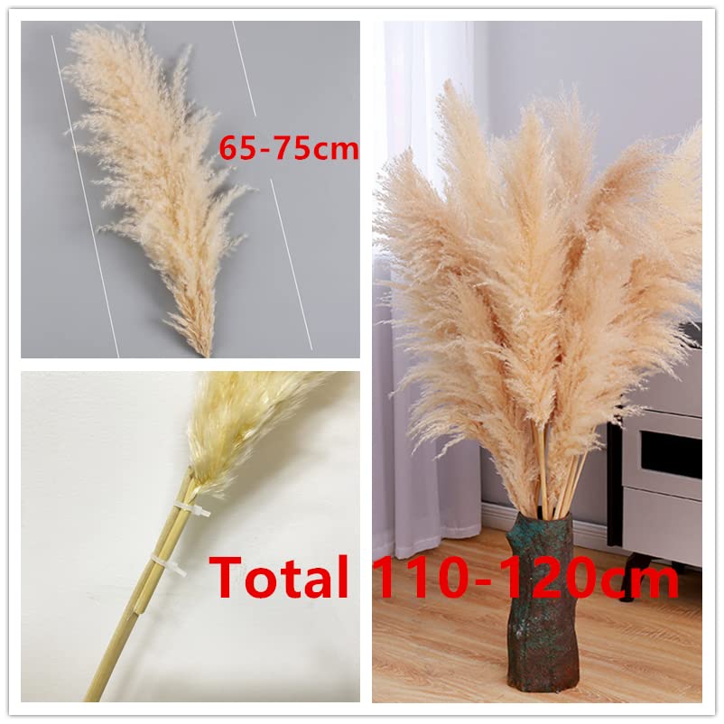 Pampas Grass pack de 10 piezas decorativas natural miniatura 3
