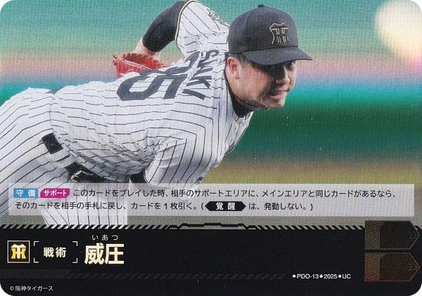 ドリームオーダー 勝負師 日本選手権 シリアル 阪神 ドリームオーダー