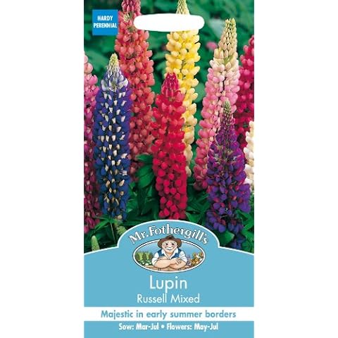 Mr Fothergill's Lupin Russell Mixed Flower Seeds Cover