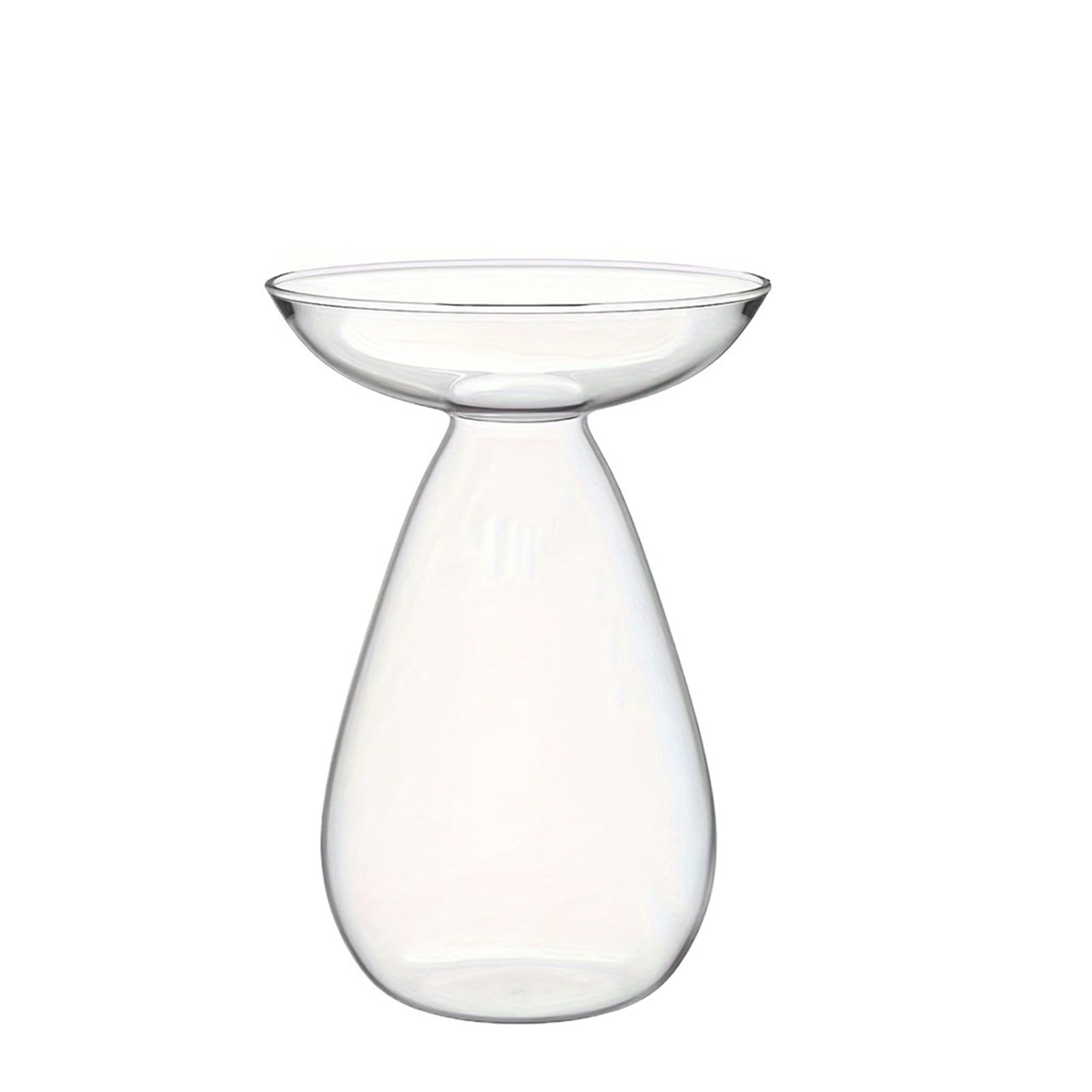 QuxetlRyz Glass Hydroponic Vase Avocado Seed Sprout Starter Vase Tree Growing Kit for Planter Indoor Home Decor Gardening Lovers Plant Lover