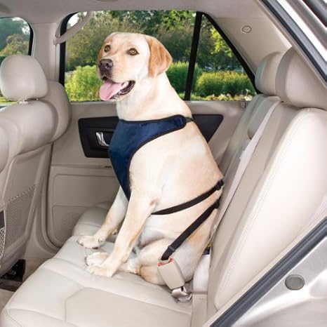 amazon dog car harness
