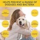 Hefe Infektion Bei Hunden, Lindert Juckende Hundehaut, Anti-Allergie, SäUre Basen Gleichgewicht Wiederherstellen, NatüRliche Inhaltsstoffe, Verbessert Die ImmunitäT 60ml