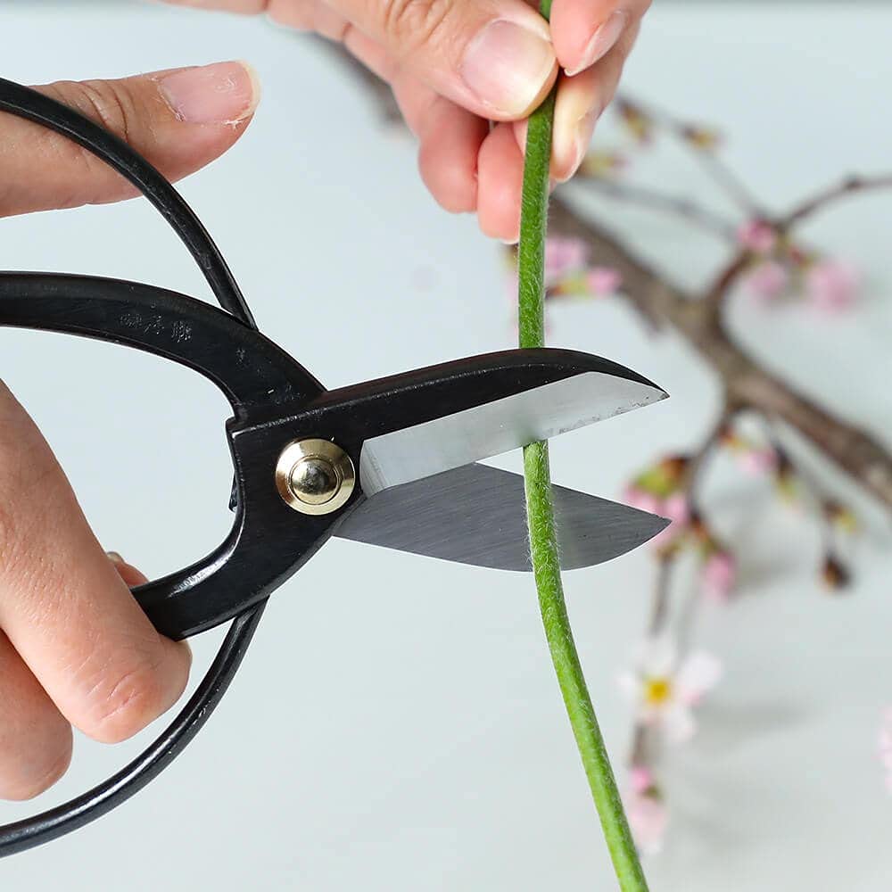 Wazakura Japoński zestaw niezbędnych narzędzi Ikebana wyprodukowany w Japonii, zestaw do aranżacji kwiatowych [nożyczki Koryu + 61 mm okrągły czarny Kenzan ]