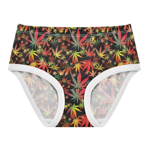 Joisal Cotton Toddlers Underwear Floral Gradient Orange Leaves Black Panties for Girl Durable Briefs Underpants 2t