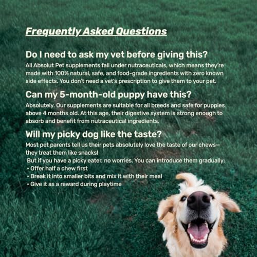 Image of Absolut Pet Dog Supplement for Oral Care, Dental Chews for Dogs that Reduces Plaque & Tartar | Freshens Breath & Supports Gum Health (Dental + Probiotic)