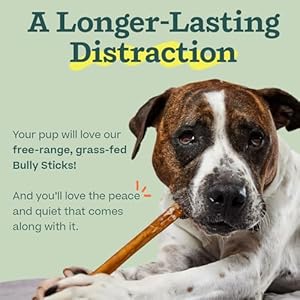 WOOF-Bully-Sticks-Chew-Sticks-for-Dogs-Long-Lasting-Dog-Products-Made-with-Free-Range-Grass-Fed-Beef-6-Sticks-10pk - Cucciolini Doodles   WOOF-Bully-Sticks-Chew-Sticks-for-Dogs-Long-Lasting-Dog-Products-Made-with-Free-Range-Grass-Fed-Beef-6-Sticks-10pk