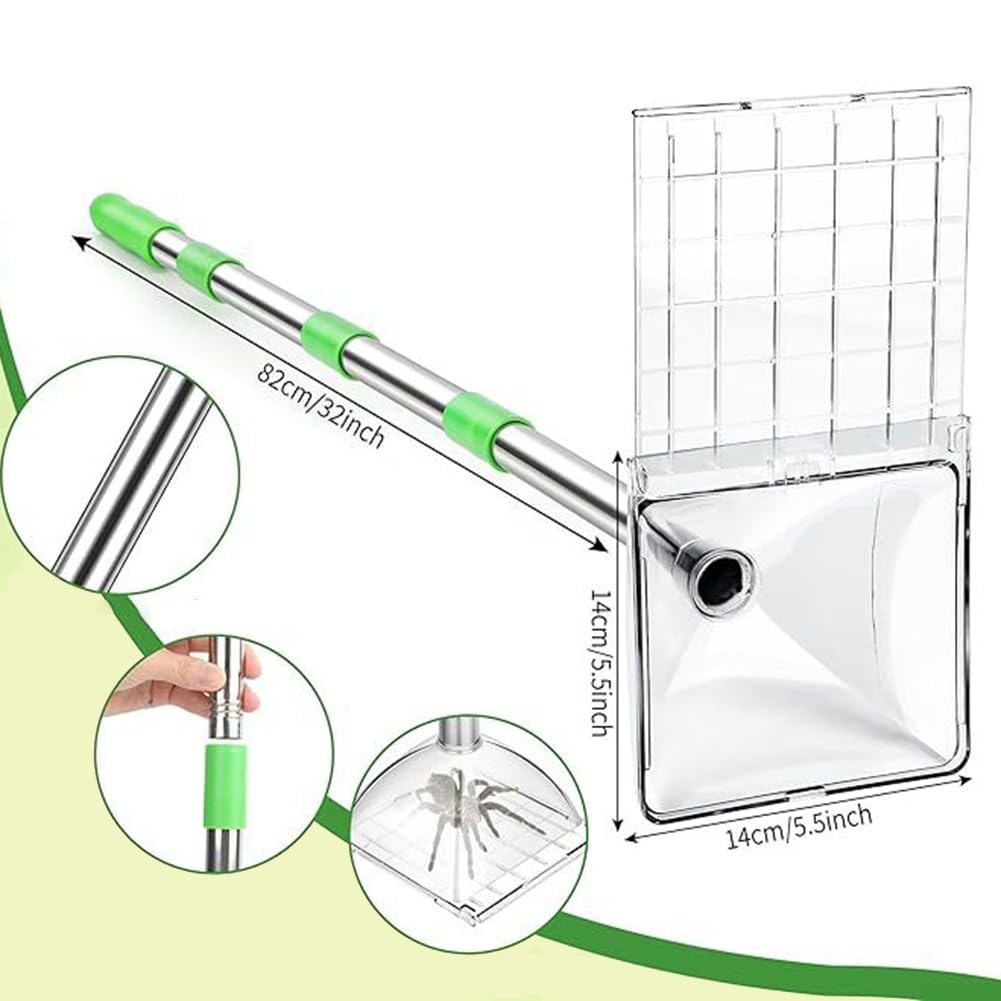Cattura insetti con manico lungo regolabile per catturare insetti senza contatto con scatola trasparente per la rimozione sicura di ragni, lucertole e piccoli parassiti