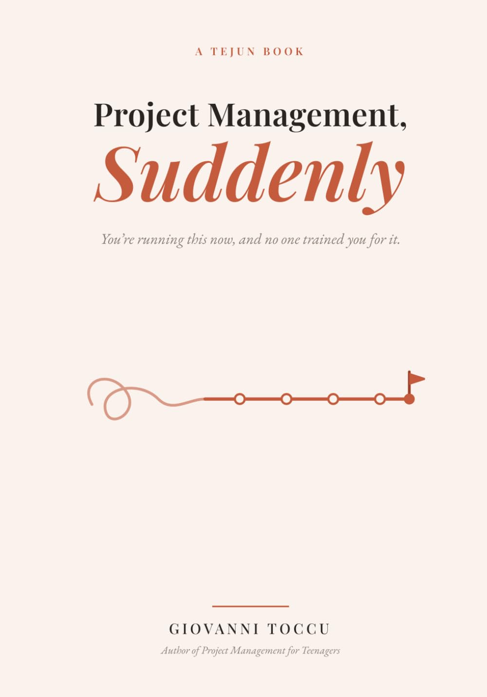 Project Management, Suddenly: You're running this now, and no one trained you for it.