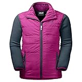 winddicht (Weste) Jack Wolfskin Kinder Glen Dale Kids Kombi aus Steppweste und Fleece Winddicht (Weste) Wetterschutzjacke, Fuchsia, 104