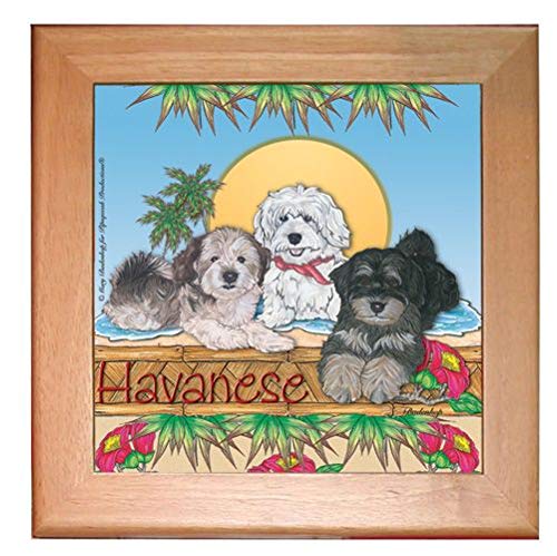 Havanese Ceramic Trivet