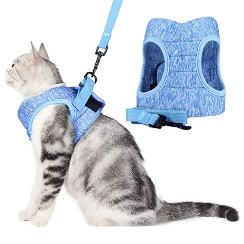 WD&CD Arnés para Gato, Arnes Gatos Antiescape Ajustable Arnés Gato Transpirable para Correr, Entrenamiento, Gatos Pequeños y Medianos, Gatos Bebes para Caminar con Gatito, Azul, M