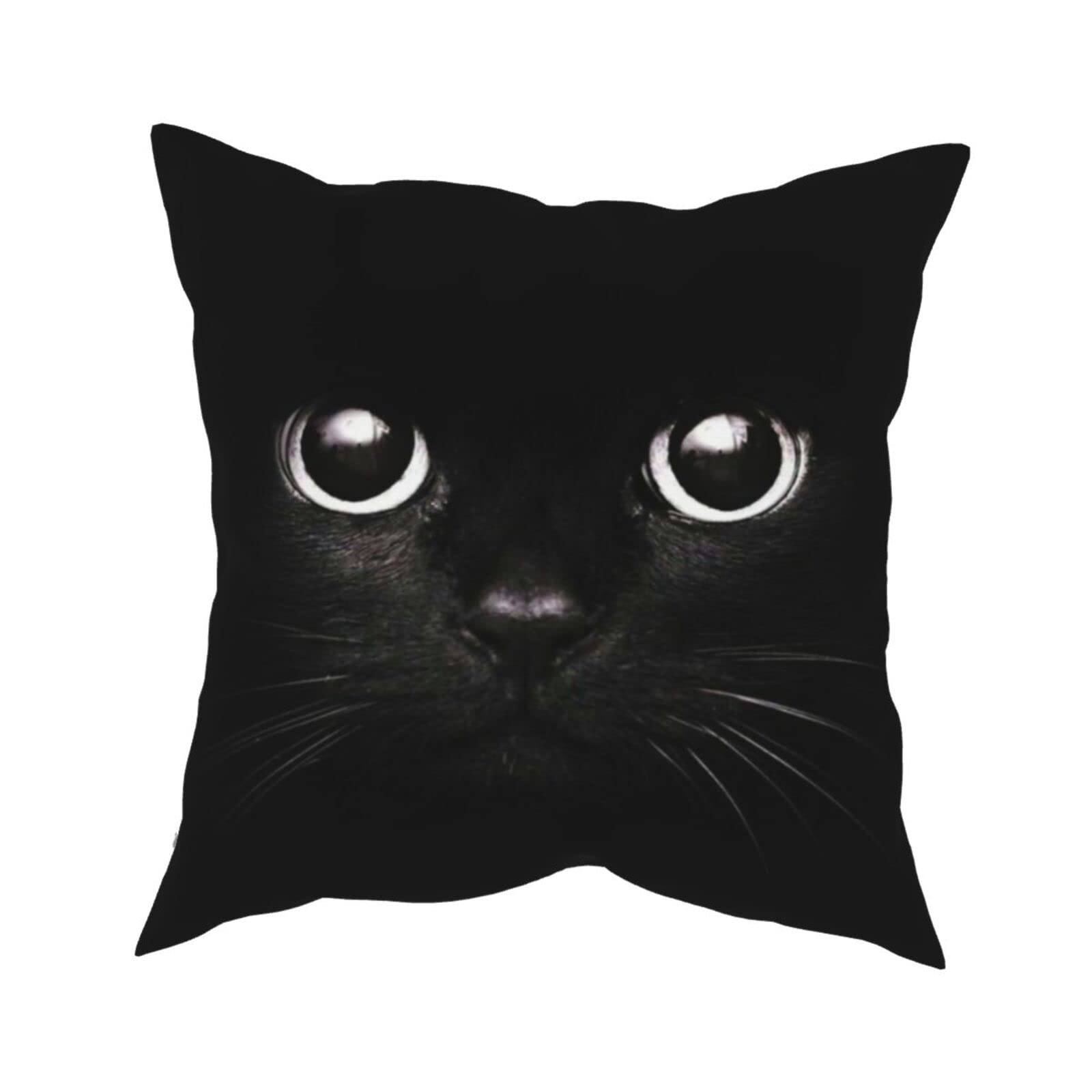 Franala Throw Pillow Covers Cute Black Cat, Modern Decorative Home Sofa Couch Bedroom Car Pillow Cases, 18x18 Inches Square Pillowcases