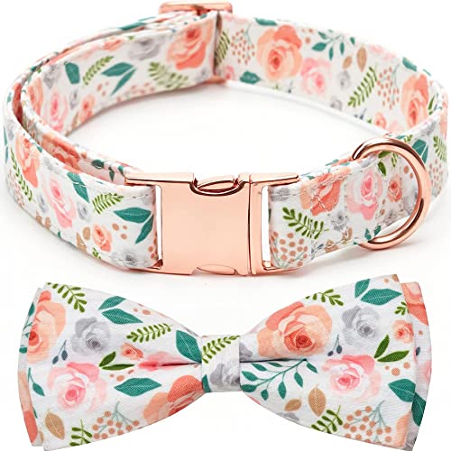 Thankspaw ߉\ȒlN^C ̎ vg 킢p^[ t \tg ybg  ^   p