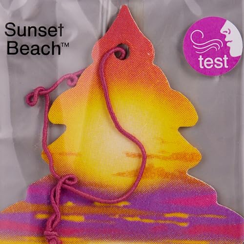 Image of LITTLE TREES Car Freshner U1P-17177 Air Freshener AIR FRESHENERS (Pack of 6)