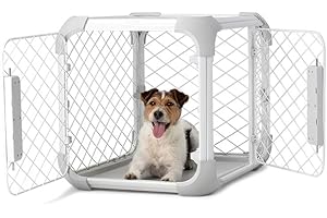 Diggs Dog Kennel: Ultimate Protection and Comfort for Your Furry Friend